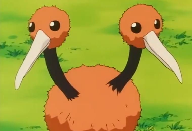 doduo