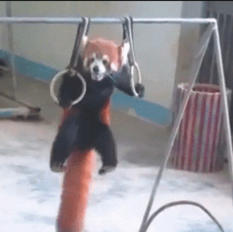 Cuando descubras los beneficios de la calistenia, no habrá poder humano que te baje de las barras.