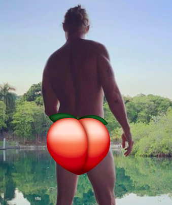 Diplo desnudo para apoya el voto