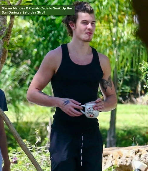 shawn mendes mayo pandemia covid playera