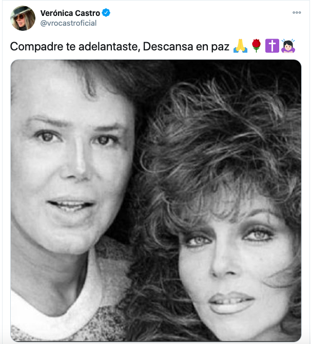 Verónica Castro