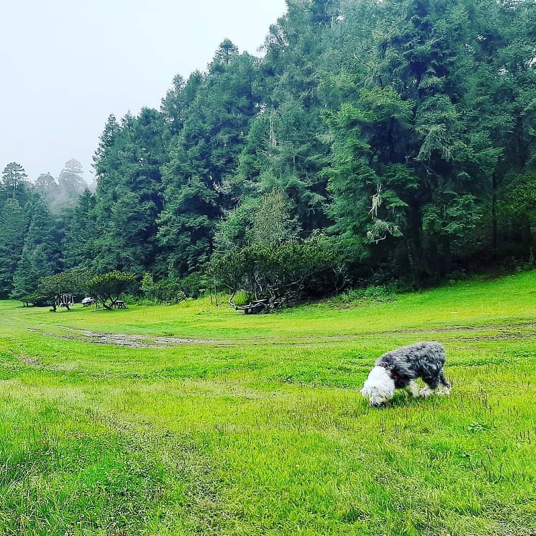 Lugares para acampar cerca de CDMX