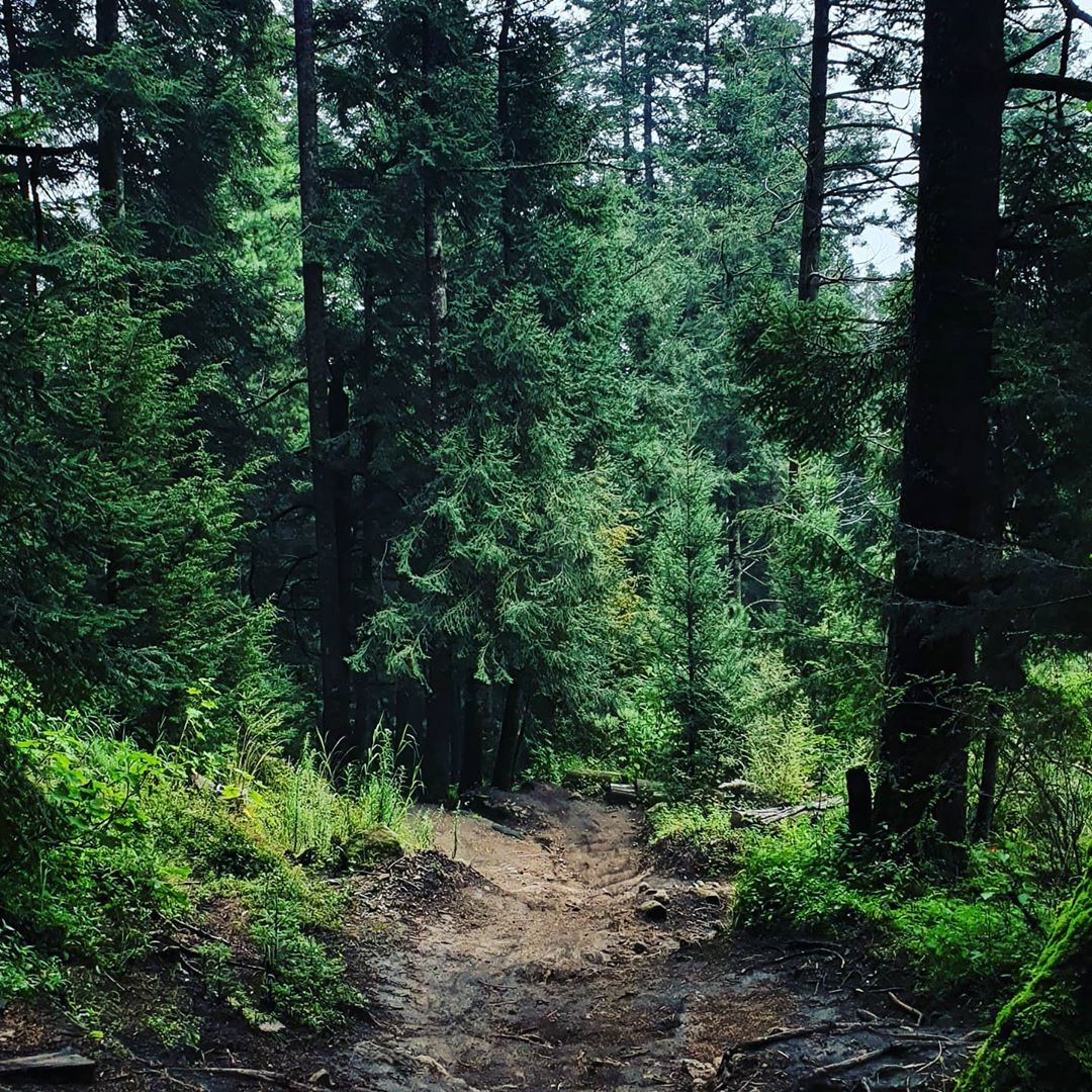 Lugares para acampar cerca de CDMX