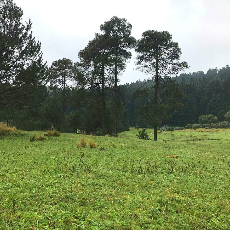 Parque Ejidal San Nicolás Totolapan, CDMX