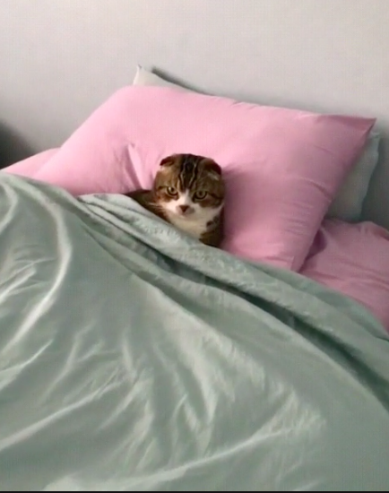 Uno de los mejores tips para dormir con alguien es hacerlo en una cama grande.