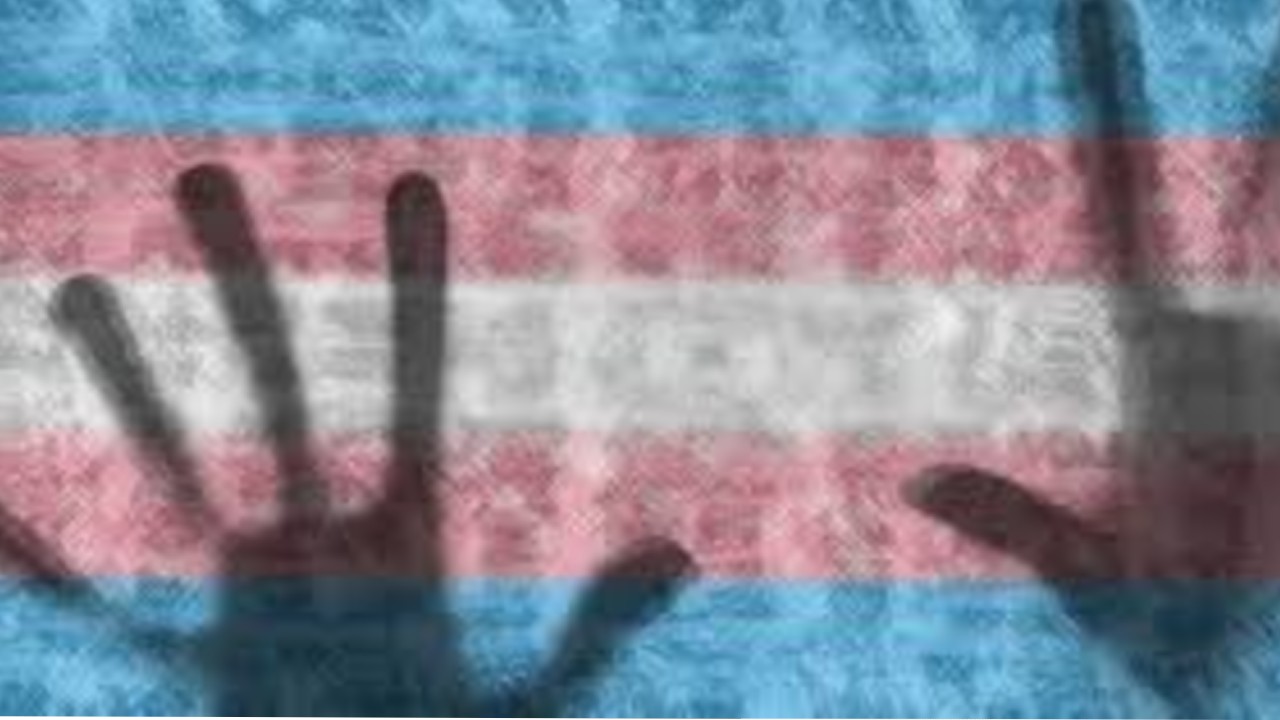 Transfobia en casa durante pandemia