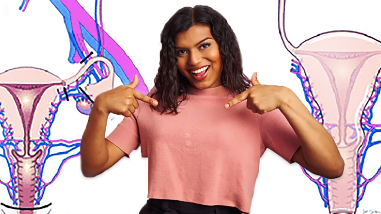 trasplante-útero-mujeres-trans trasplante útero mujeres trans embarazo