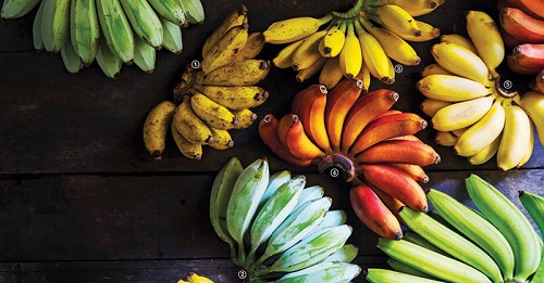 atributos hombres dotados