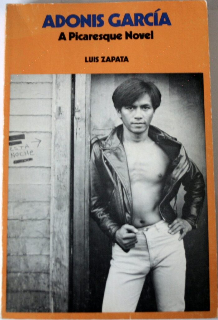 Adonis Garcia A Picaresque Novel