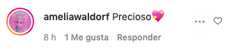 comentario instagram jerry velazquez precioso amelia