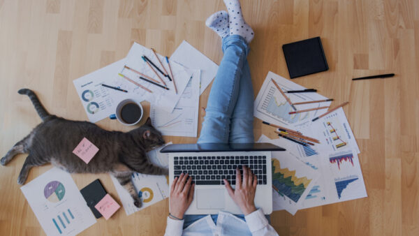 covid home office gato