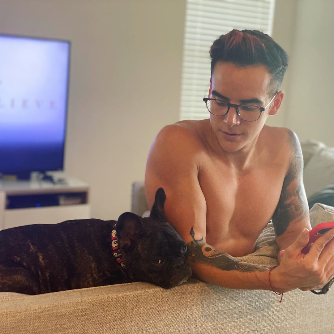 Famosos latinos y sus perritos