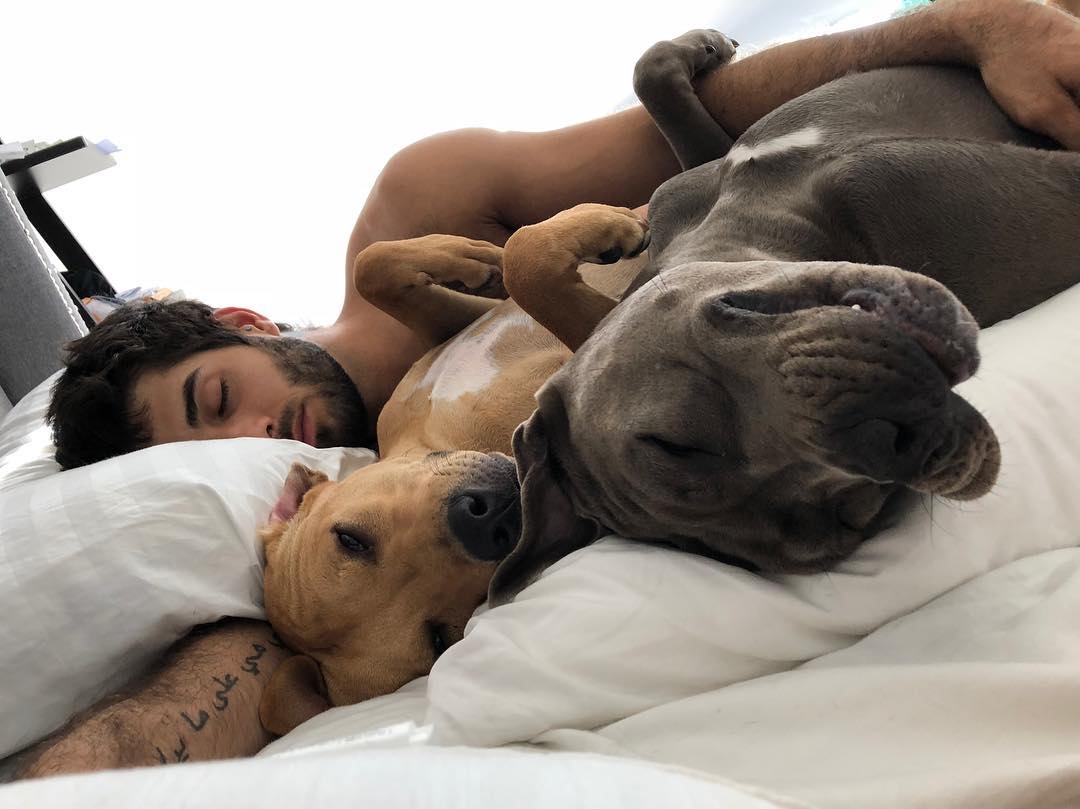 Diego Sans actor porno gay 