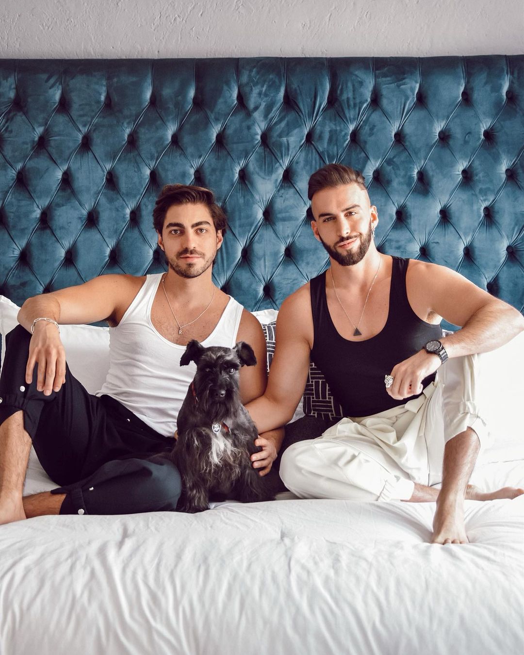 Conoce a los perritos de estos famosos latinos gays