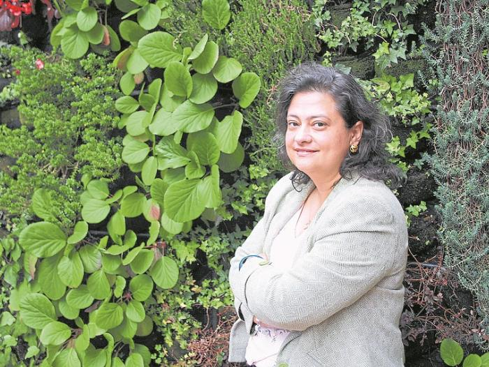 Mónica Lemoine Centro Consulta