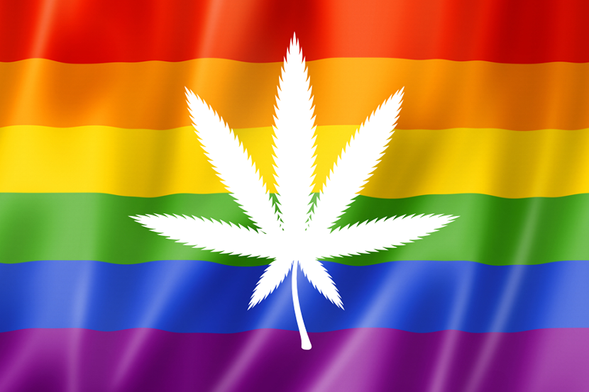 Highsexuales highsexual