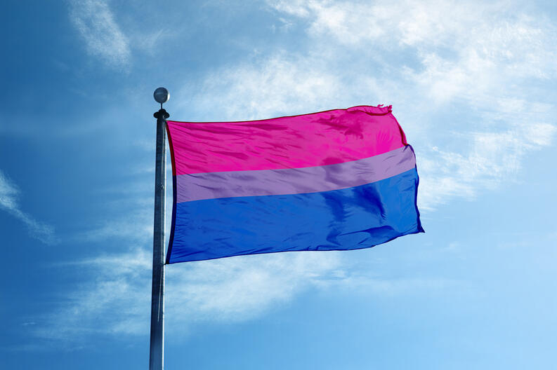 bandera bisexual
