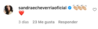 joy huerta comentarios sandra echeverria instagram