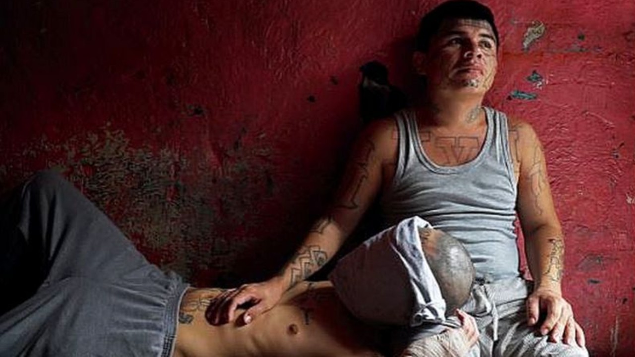 Imperdonable historia de pandilleros gays