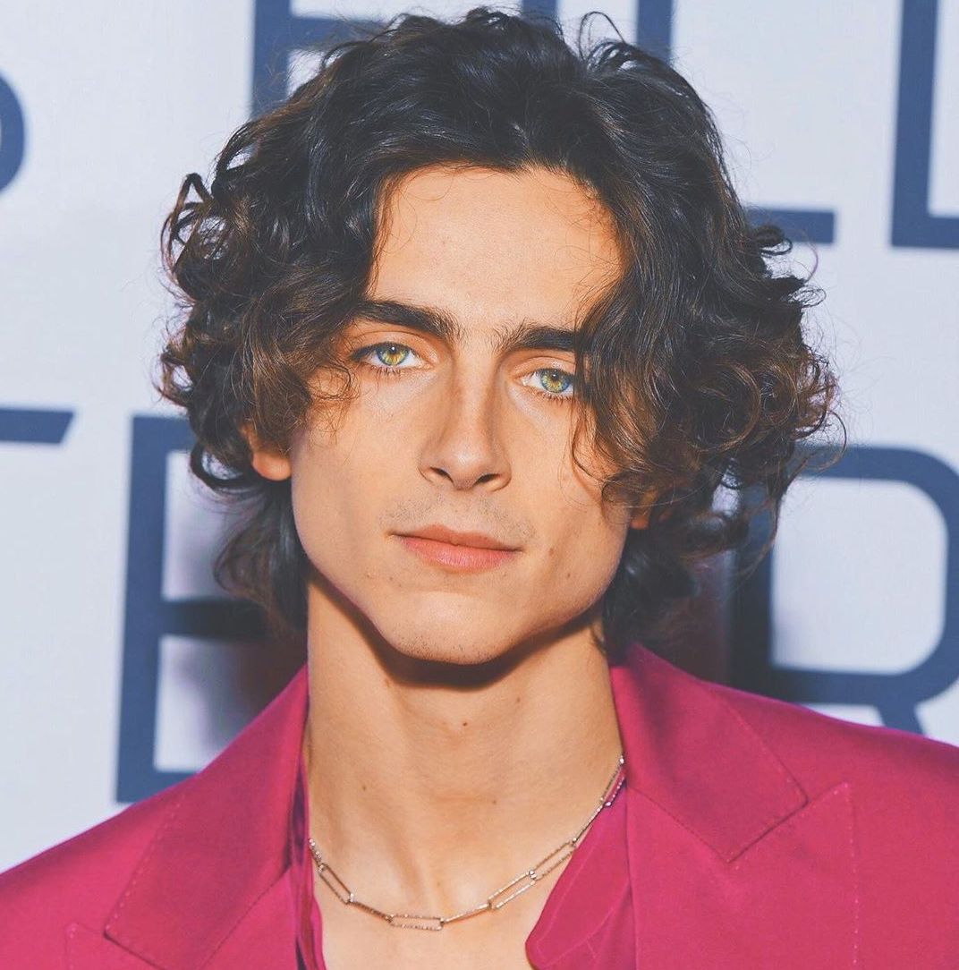 judíos guapos famosos Chalamet