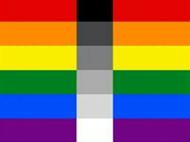 plurisexualidades homoflexibilidad