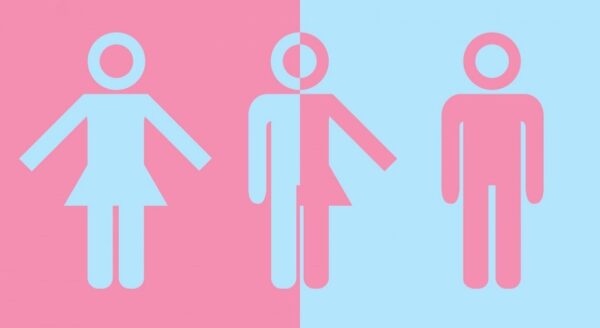 plurisexualidades trisexualidad
