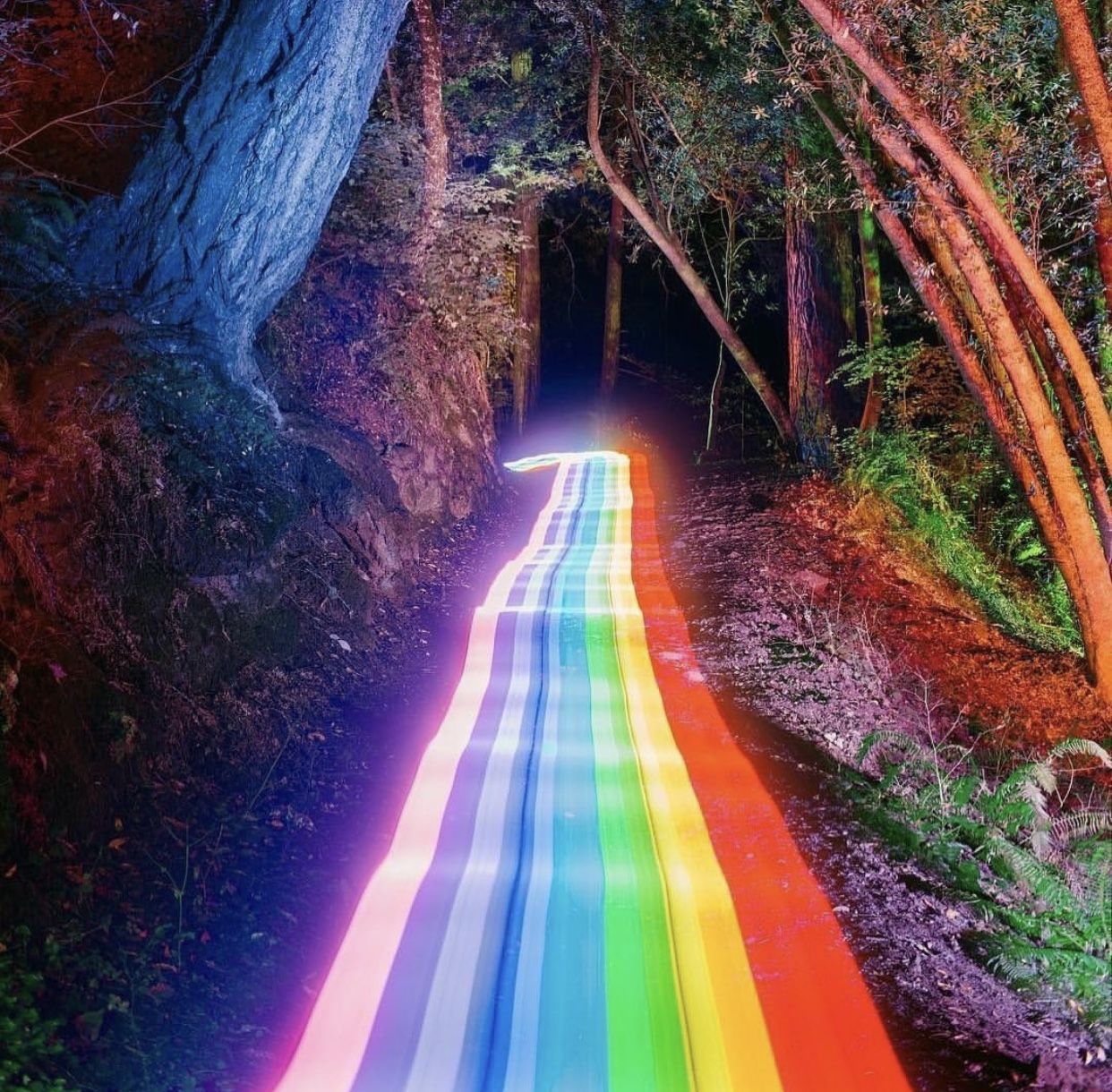 Camino Rainbow