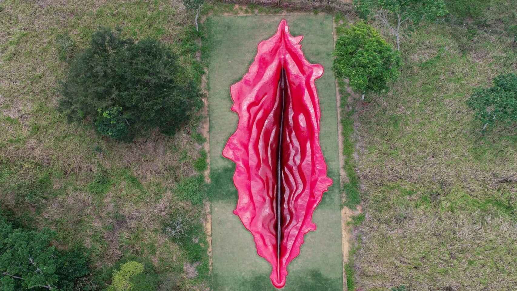 vulva gigante Brasil 