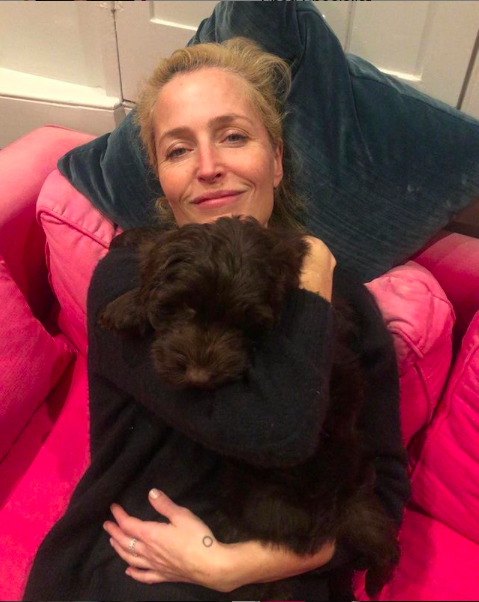 Gillian Anderson presentó a su novia Stella en redes sociales