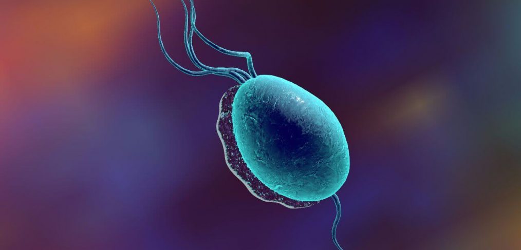 tricomoniasis