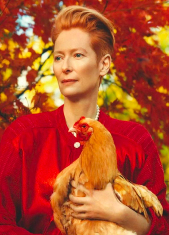 tilda swinton queer vogue