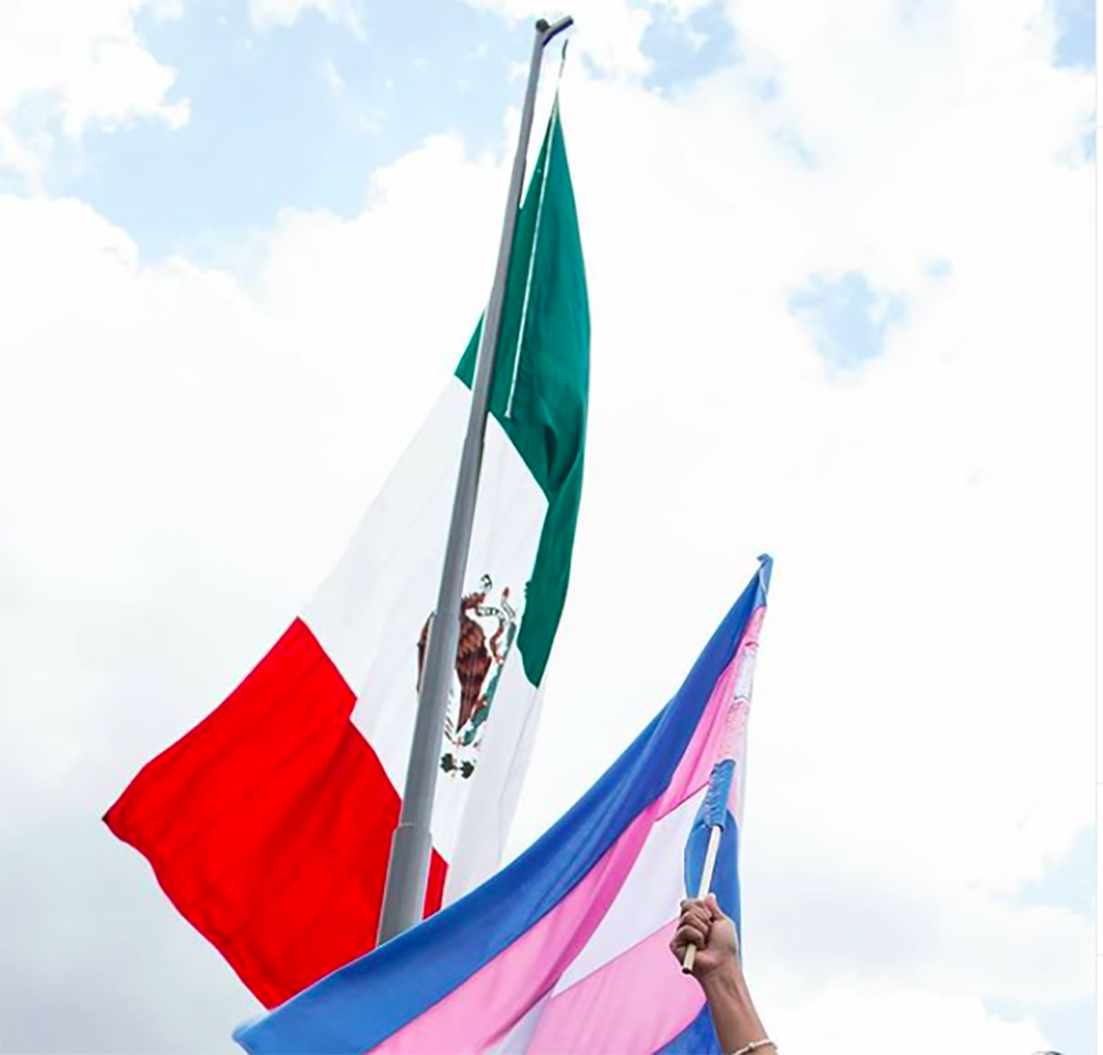 banderas activismo trans