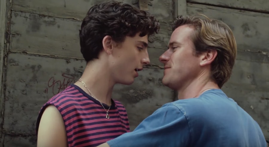 Timothée Chalamet gay