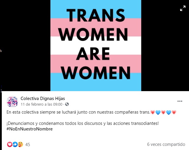 Dignas hijas es una colectiva que apoya a mujeres lesbianas. bisexuales y trans