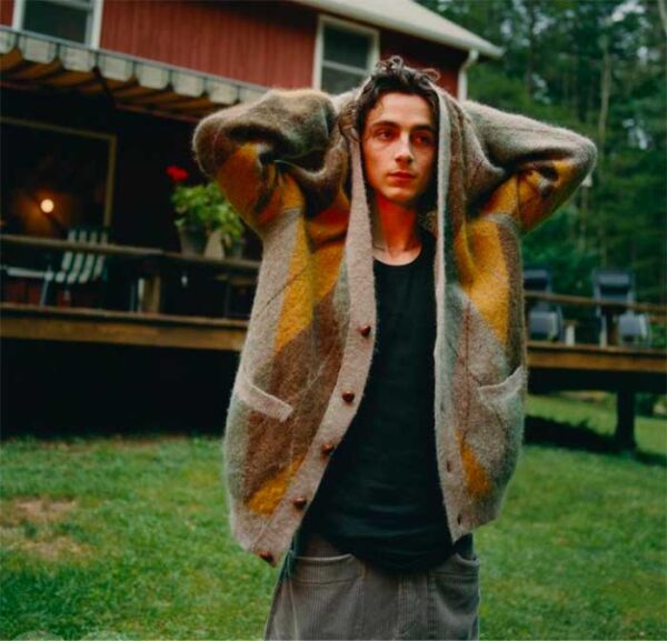 Timothée Chalamet director call name