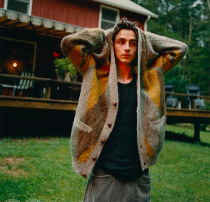 Timothée Chalamet driector call name