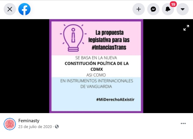 Feminasty colectiva transincluyente