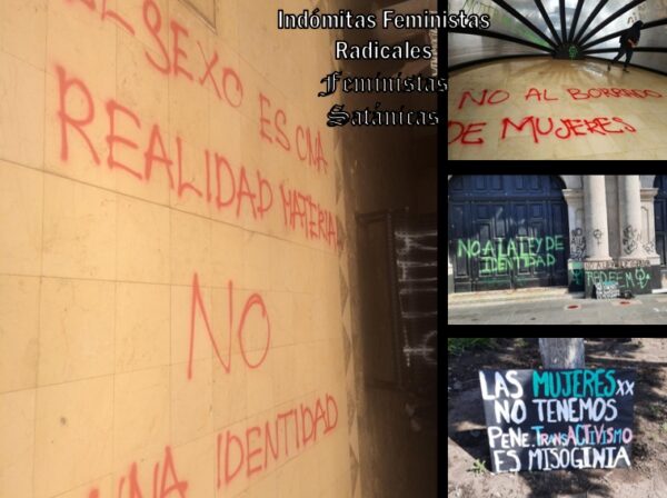feministas radicales transodiantes edomex ley identidad de género 