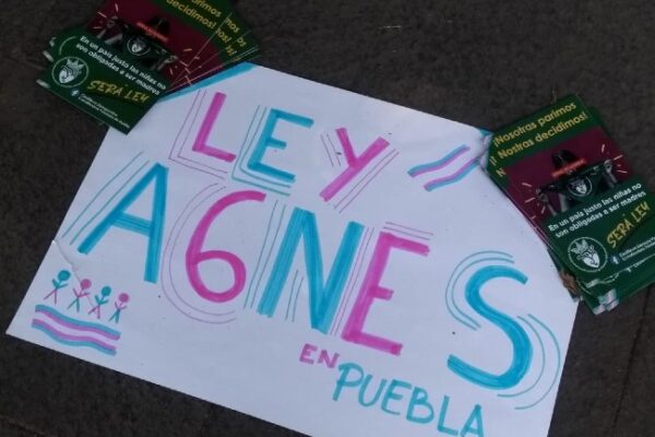 ley agnes coatlicue siempre viva colectivas feministas trans jornada informativa