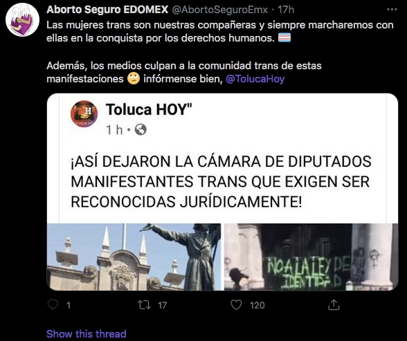 ley identidad de género edomex estado de méxico toluca feministas transodiantes radicales estado de méxico