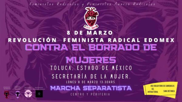 marcha borrado de mujeres edo mex transfobia