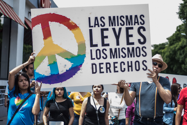 Lucha a favor del matrimonio igualitario