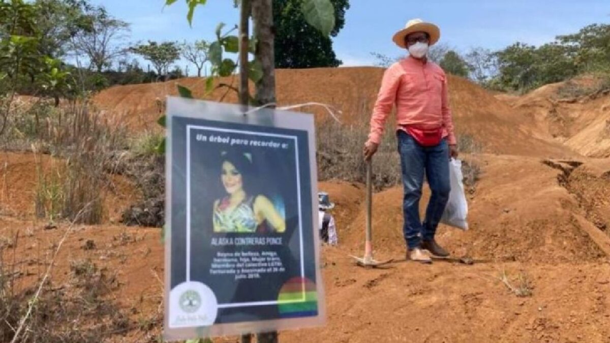 Toda vida vale proyecto para sembrar árboles por personas asesinadas