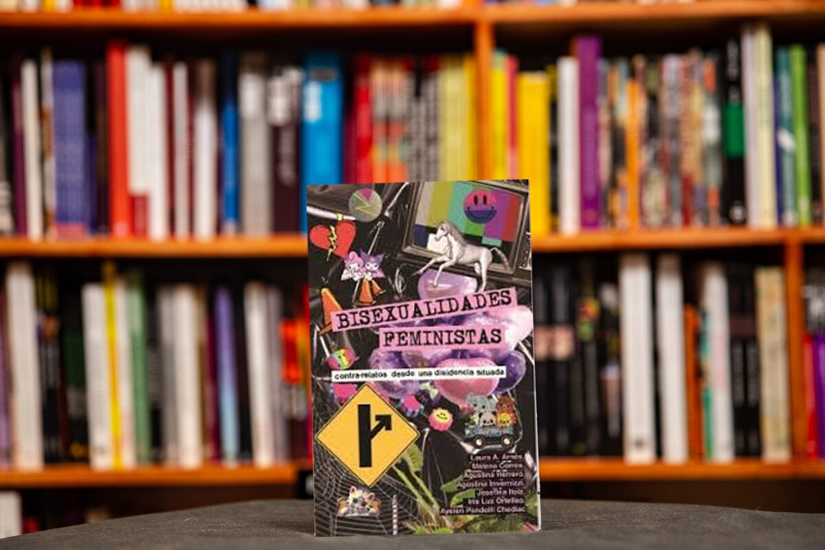 bisexualidades feministas contrarelatos disidencia situada