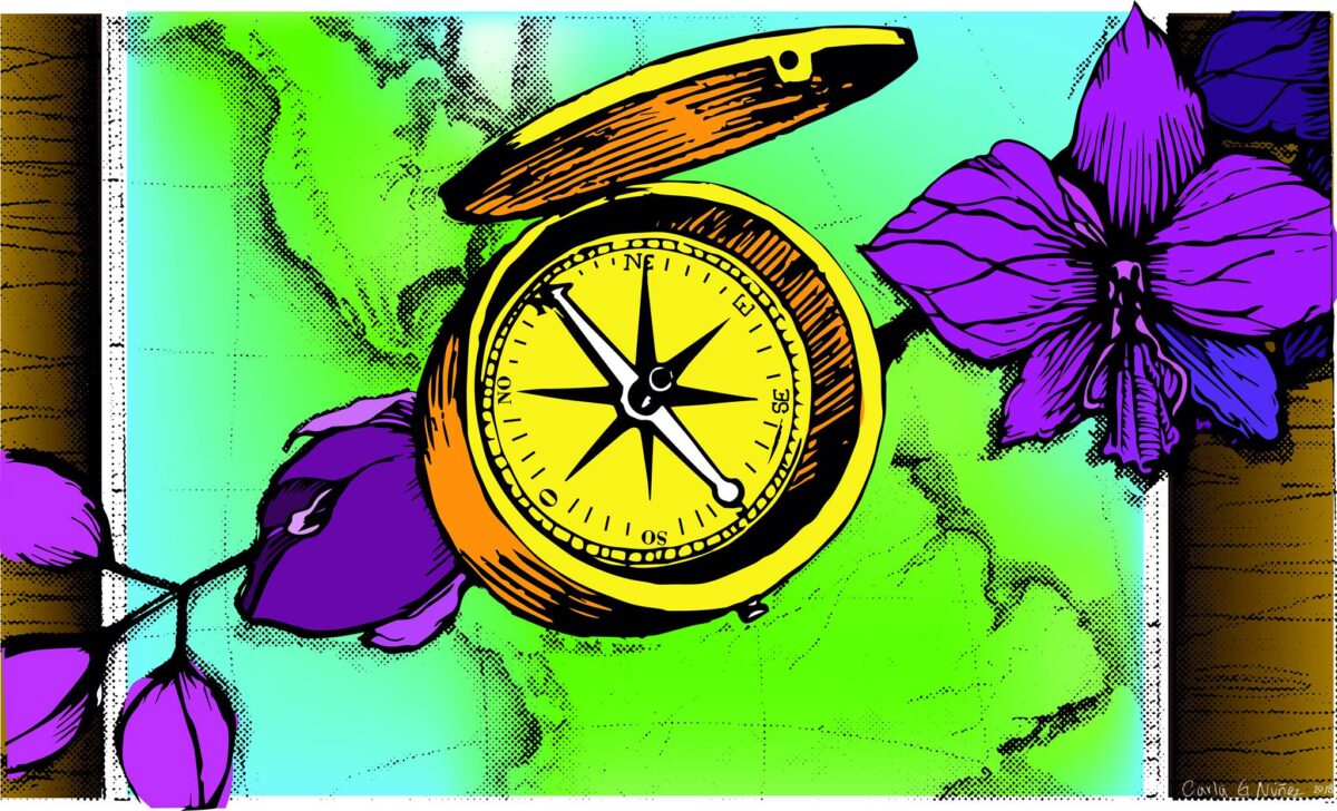 brújula intersexual logo