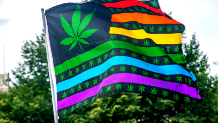 comunidad LGBT+ lucha cannábica