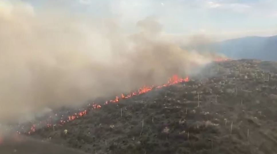 Incendio forestal en Nuevo León y Coahuila