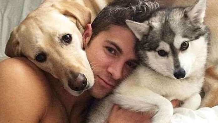 Mascotas y la salud mental de los LGBT+