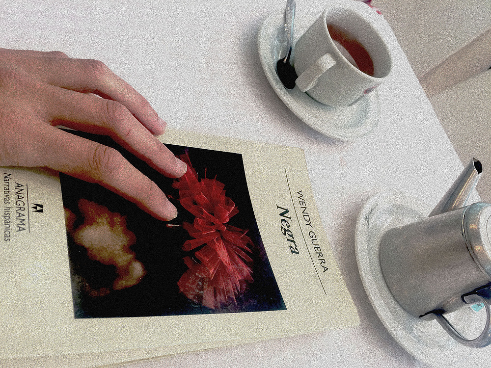 negra wendy guerra libros bisexuales