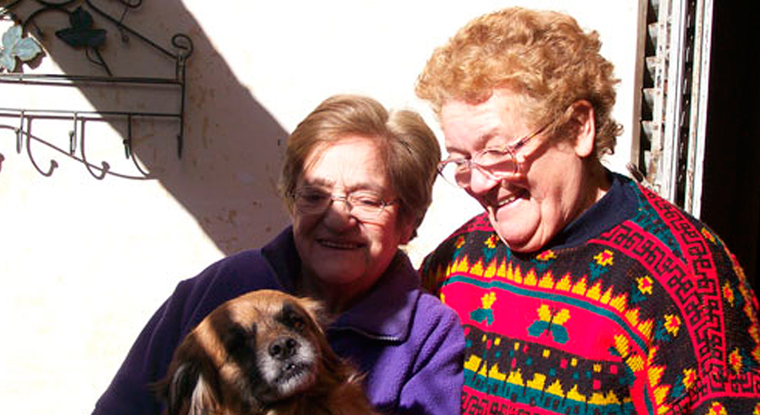 norma castilllo cachito arévalo matrimonio argentina